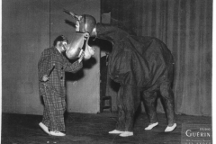 Cheval-à-Mickey-2-HR-MB-reduit