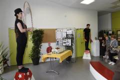 DSC7774-Copier-Copie-Copie