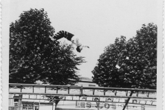Tournée-1959-Tremplin-américain-3-GC-reduit