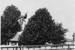 Tournée-1959-Tremplin-américain-7-GC-reduit